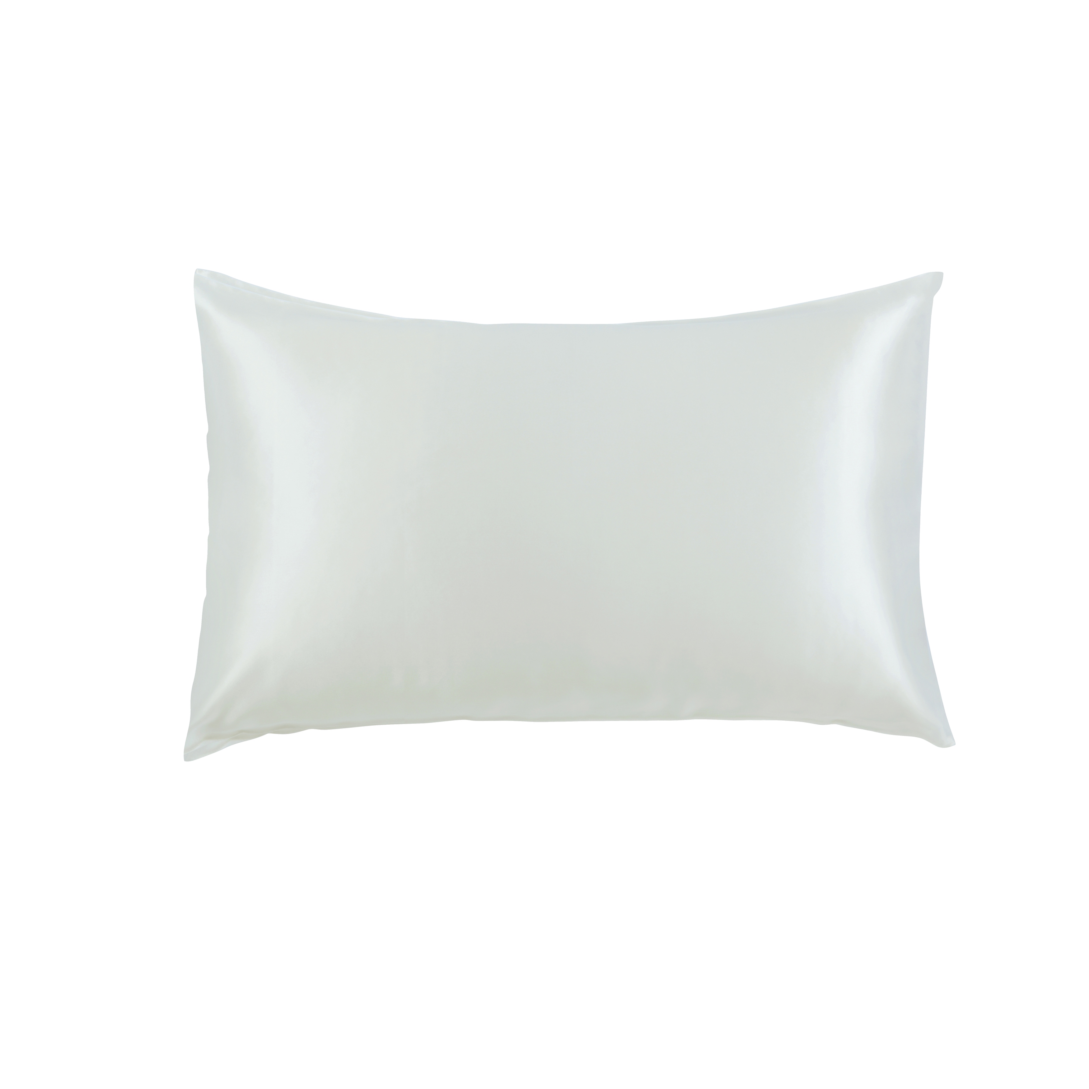 100 Mulberry Silk Pillowcase with Giftbox King Pillowcase Blue
